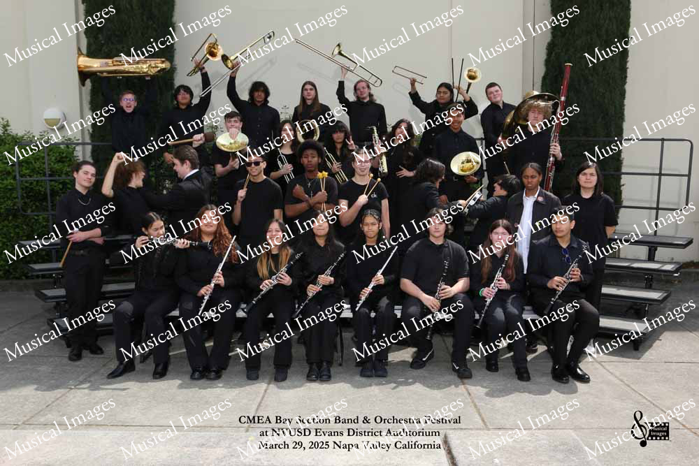 Musical Images